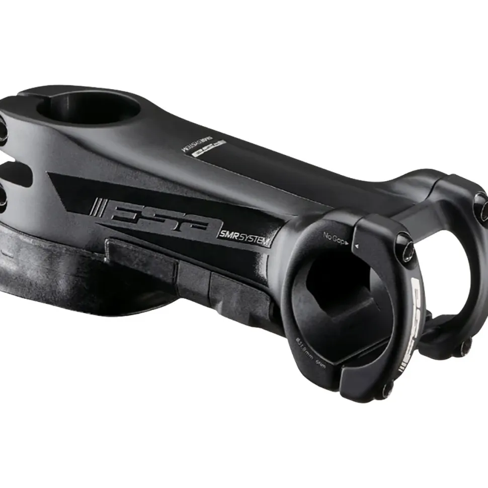 FSA SMR Stem