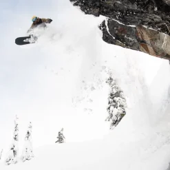 Golden Orca Snowboard - 2026