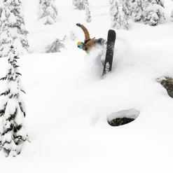 Golden Orca Snowboard - 2026