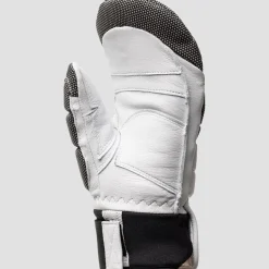 Gripen GS Mitten