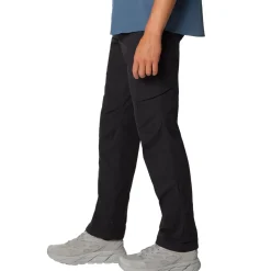 Hardwear AP Cargo Pant - Men's