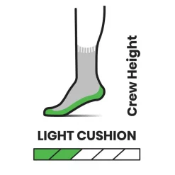 Hike Light Cushion Striped Crew Sock - Kids'