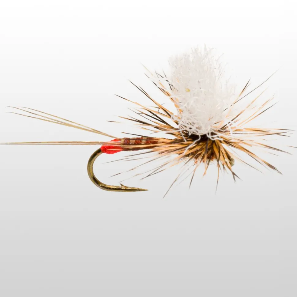 Hot Spot Para-Wulff - 12-Pack