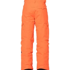 Infinity Cargo Insulated Pant - Boys'
