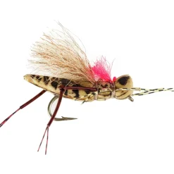 Kk's Henneberry Hopper - 12 Pack