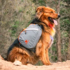 K-9 Pack