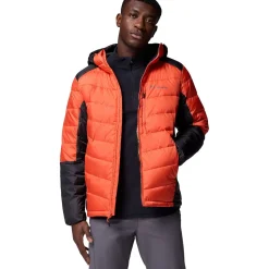 Labyrinth Loop II Hooded Jacket - Men's