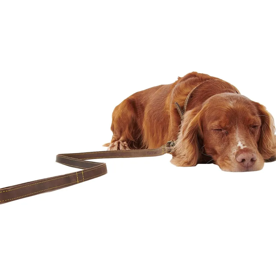 Leather Dog Lead