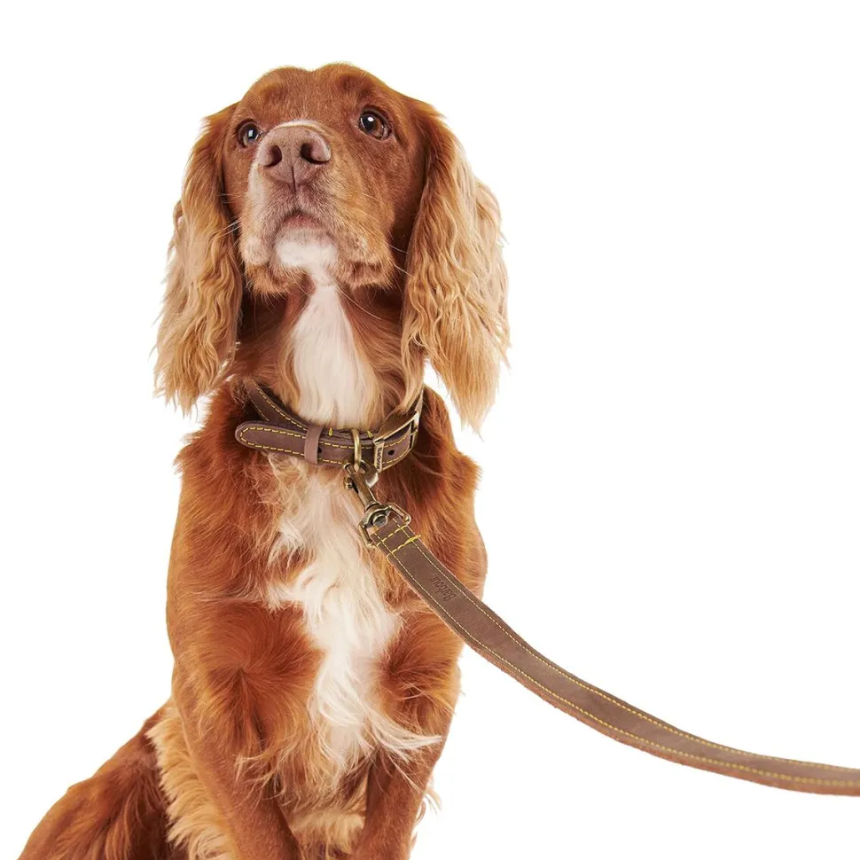 Leather Dog Lead
