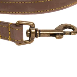 Leather Dog Lead