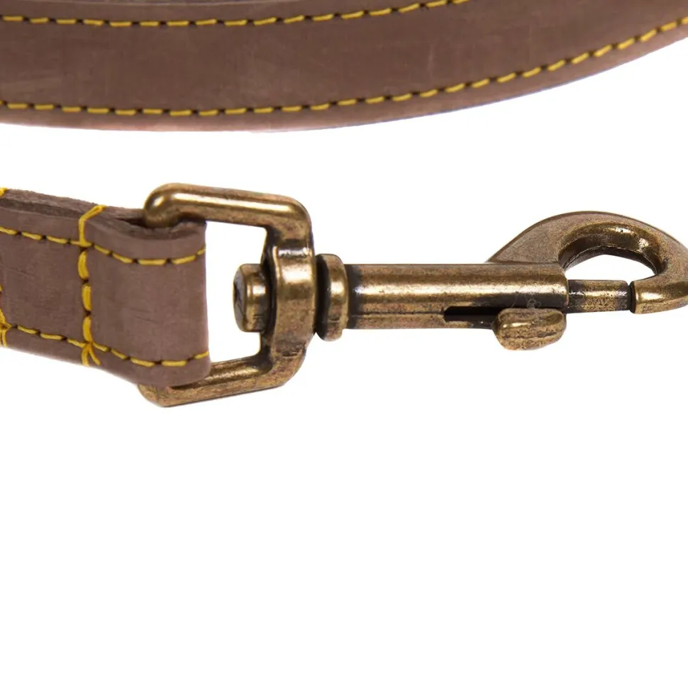 Leather Dog Lead