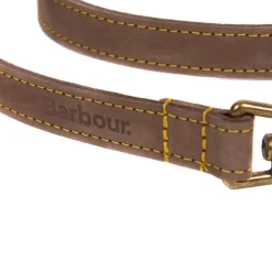 Leather Dog Lead