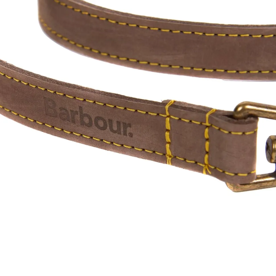 Leather Dog Lead