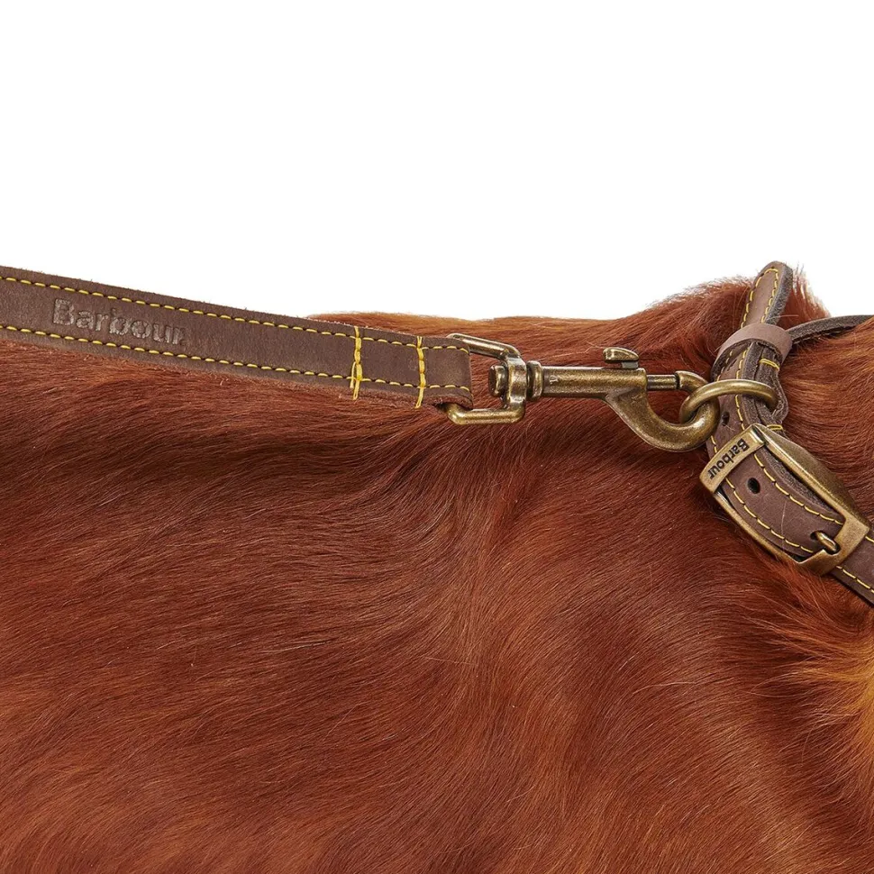 Leather Dog Lead