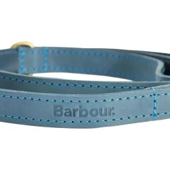 Leather Dog Lead
