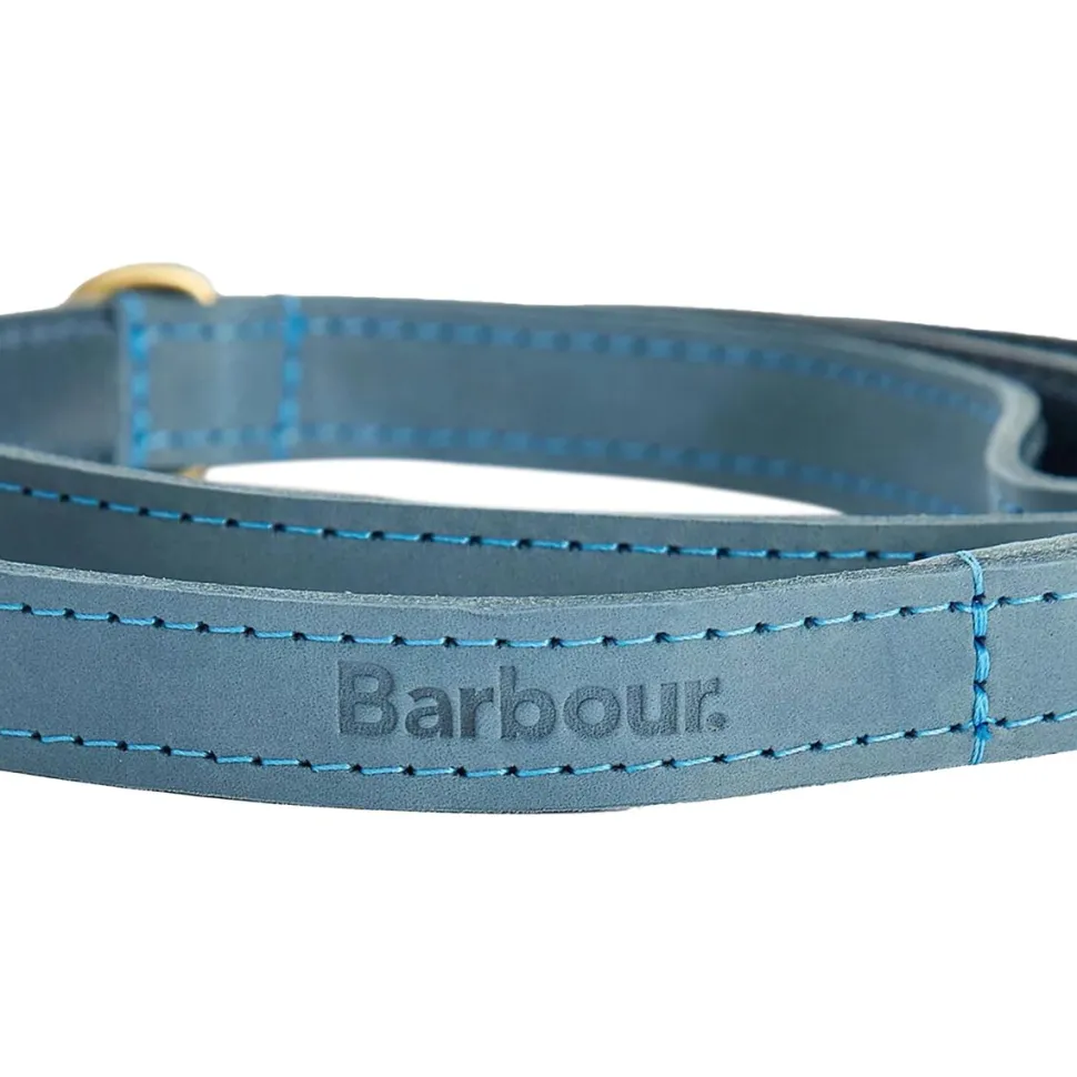 Leather Dog Lead