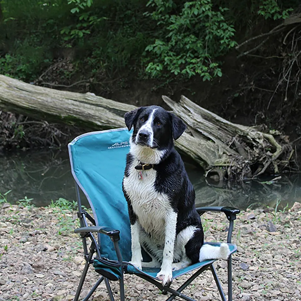 Leisure Chair
