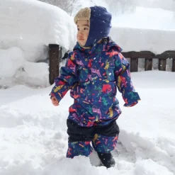 2L One-Piece Snowsuit - Toddlers'