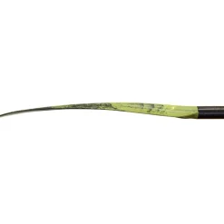 Magic Angler Paddle