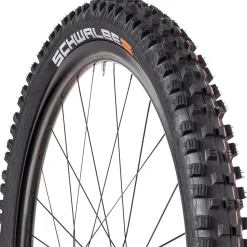 Magic Mary Addix Evolution 29in Tire