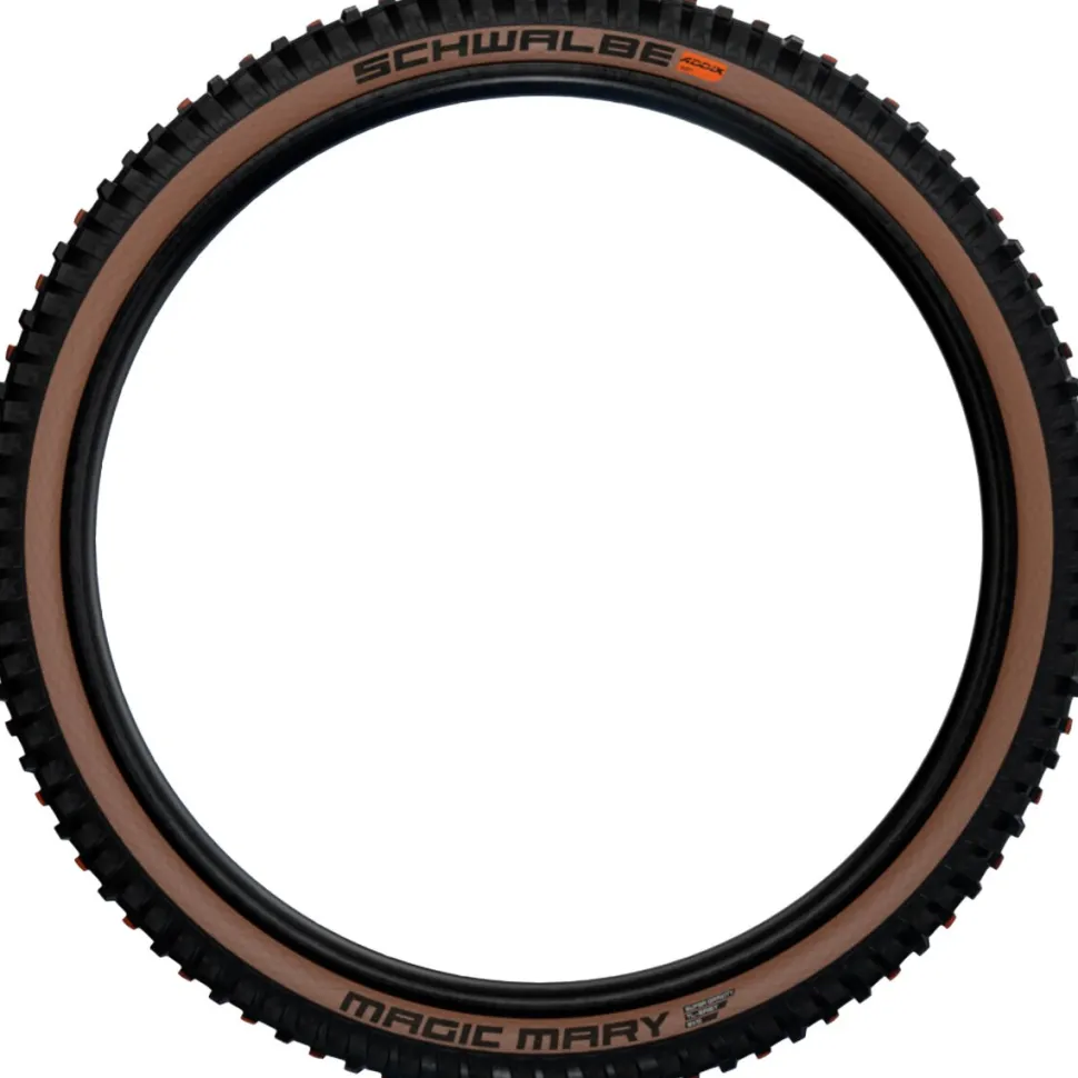 Magic Mary Evolution Tubeless Tire - 29in