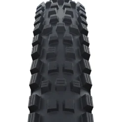 Magic Mary Evolution Tubeless Tire - 29in