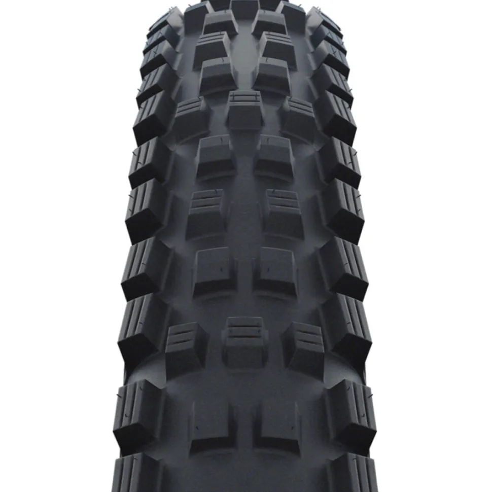 Magic Mary Evolution Tubeless Tire - 29in