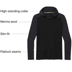 Merino 250 Baselayer Hoodie - Men's