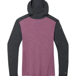 Merino 250 Baselayer Hoodie - Men's