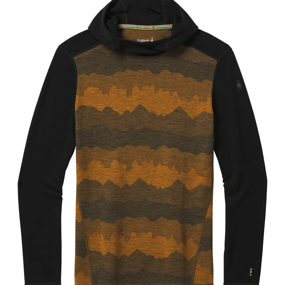 Merino 250 Baselayer Hoodie - Men's