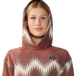 Microchill Hoodie - Women's