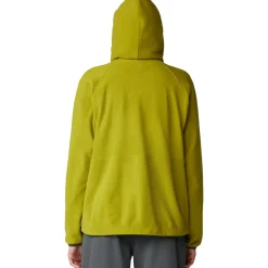 Microchill Snap Neck Pullover - Women's
