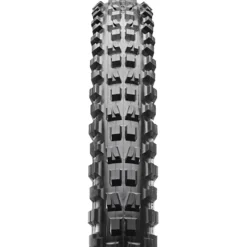 Minion DHF Dual Compound EXO/TR Tire - 26in