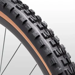 Minion DHF 29in Tire
