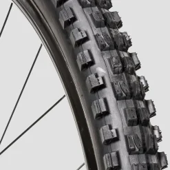 Minion DHF 29in Tire