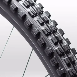 Minion DHF 29in Tire