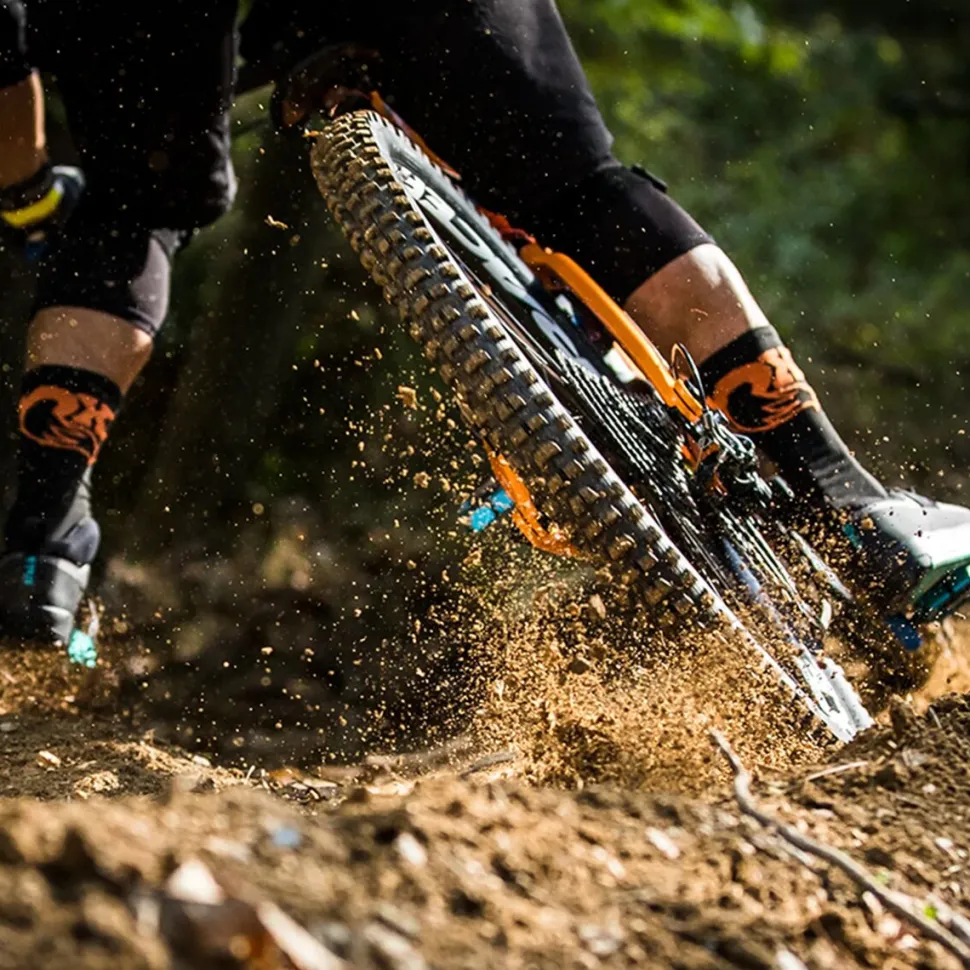 Minion DHR II 3C Grip/EXO+/Wide-Trail/TR 29in Tire