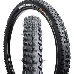 Minion DHR II 3C MaxxTerra EXO Wide-Trail/TR 29in Tire