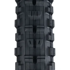 Minion DHR II 3CT/DH/Wide-Trail E-50/TR 29in Tire