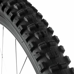 Minion DHR II DH Wide Trail 3CG/TR Tire - 29in