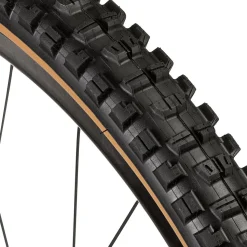 Minion DHR II Wide Trail 3C/EXO/TR 29in Tire