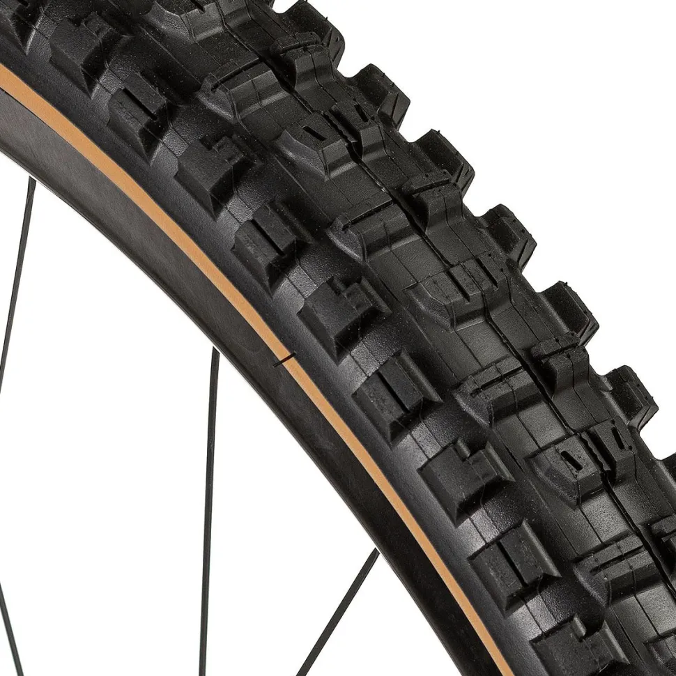 Minion DHR II Wide Trail 3C/EXO/TR 29in Tire