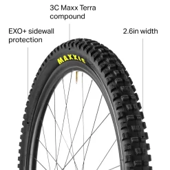 Minion DHR II Wide Trail 3C/TR Tire - 29in