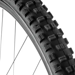 Minion DHR II Wide Trail 3C/TR Tire - 29in