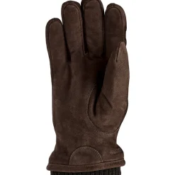 Noah Glove