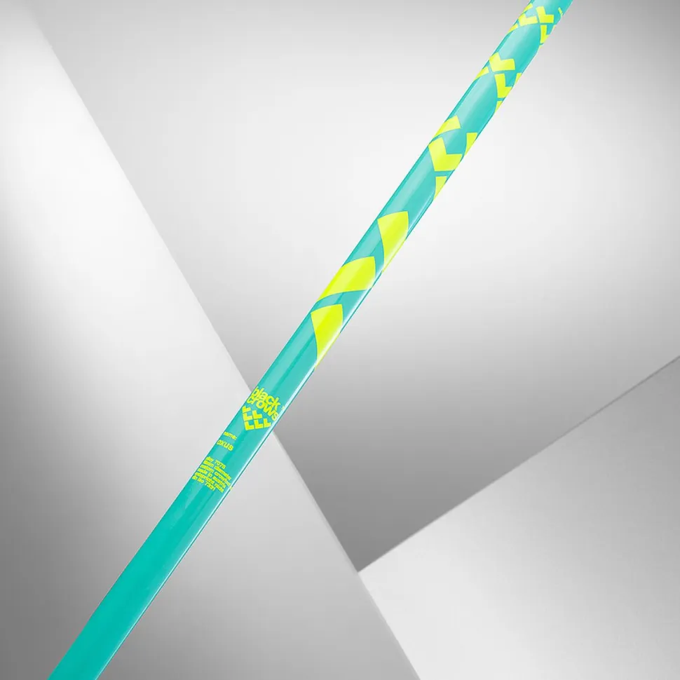 Oxus Ski Pole