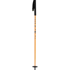 Oxus Ski Pole