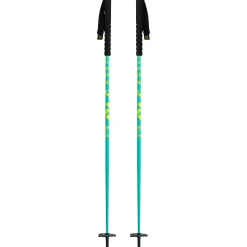 Oxus Ski Pole