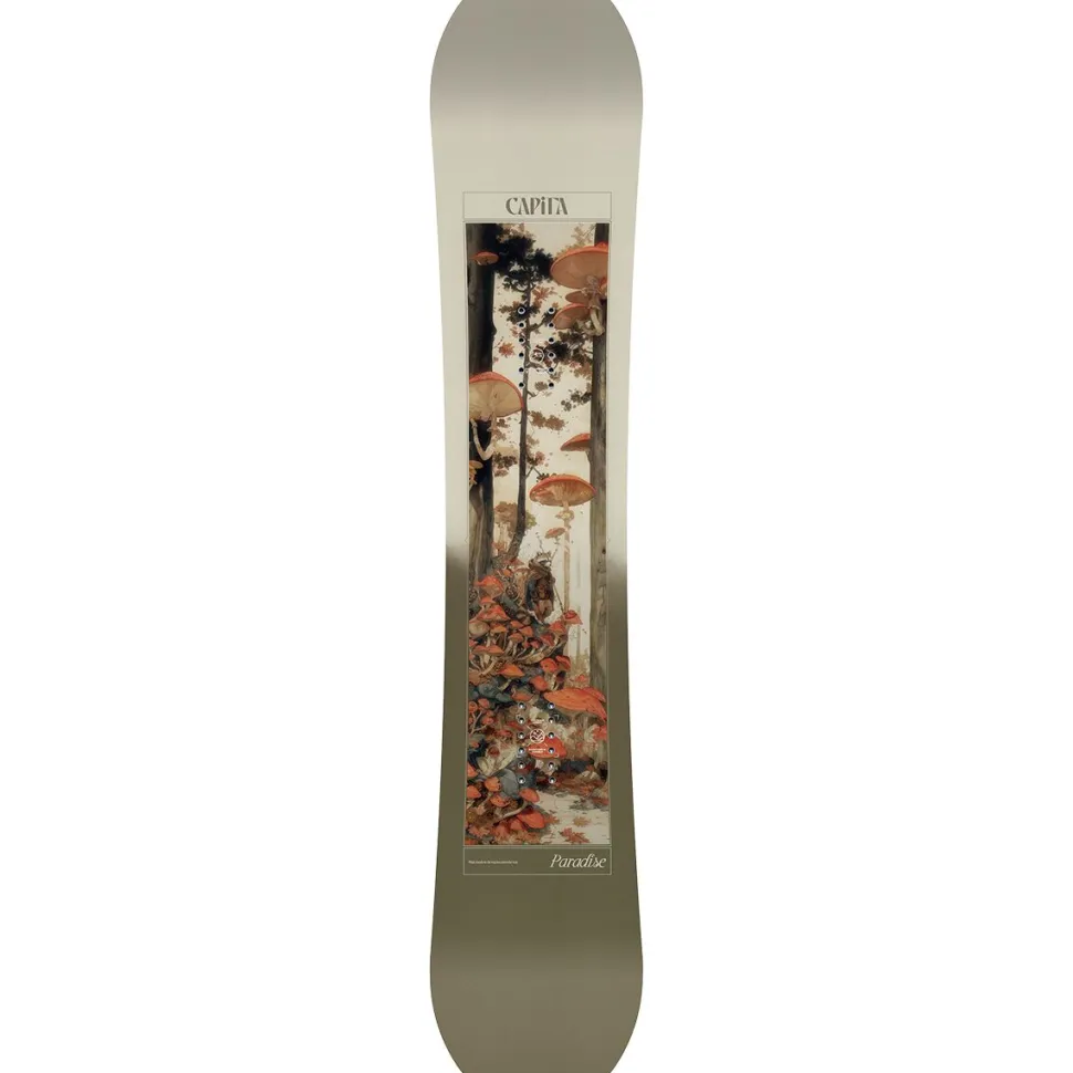 Paradise Snowboard - 2026 - Women's