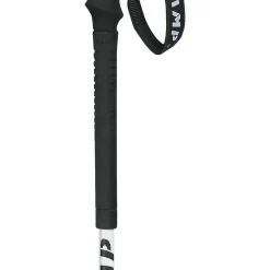 Piz Aluminum Ski Poles